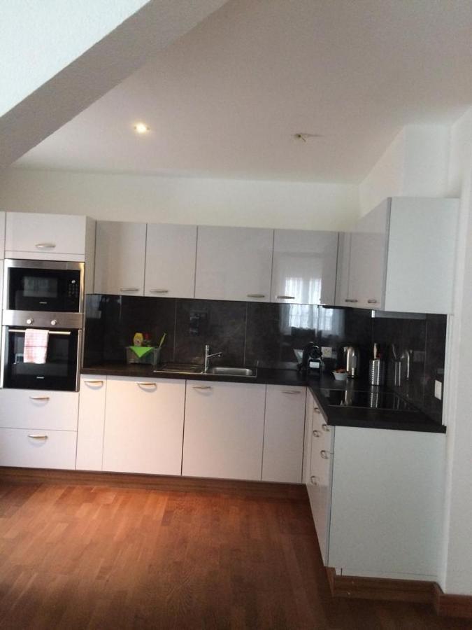 Junior Suite Apartment By Livingdowntown Zurich Ngoại thất bức ảnh